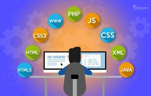 How Can Custom Web Development Result In Success Of a Business?