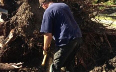 regina arborists