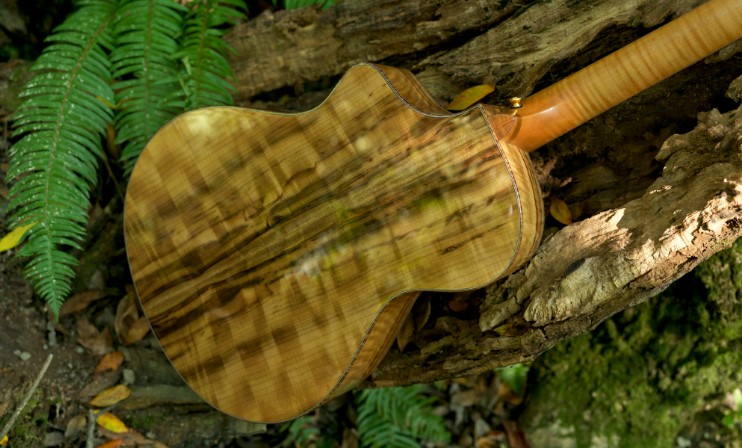 koa guitar back and sides